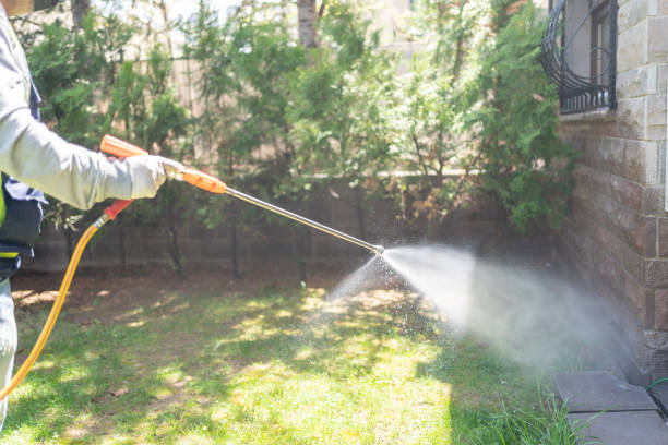 Best Affordable Pest Control Services  in Thorsby, AL