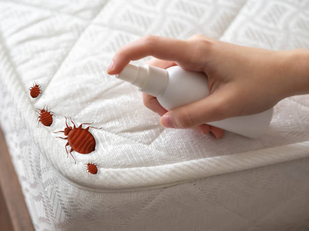 Best Pest Removal Services  in Thorsby, AL