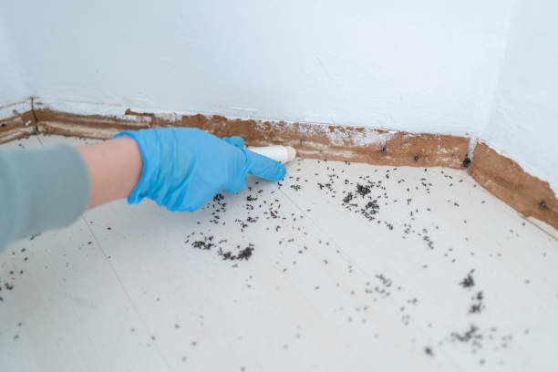 Best Residential Pest Control  in Thorsby, AL